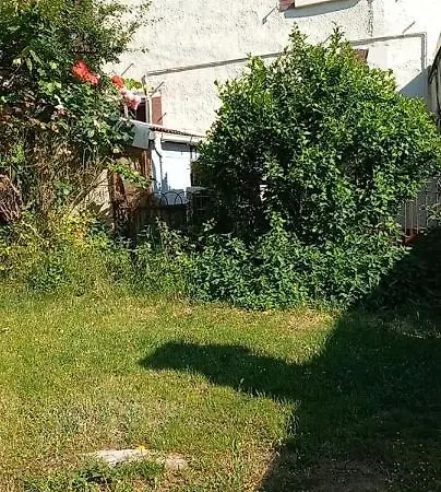 Fleurs De Loutus 2 * Romilly-sur-Seine